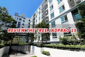 EP.296 รีวิว คอนโด THE TREE ลาดพร้าว 15 ใกล้รถไฟฟ้า MRT ลาดพร้าว ราคาเริ่มต้น 1.49 ล้านบาท